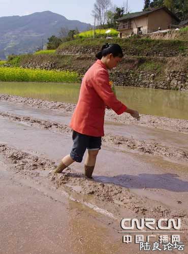 ���ȡ��������û�ٸɡ����������¶�û���ᰡ