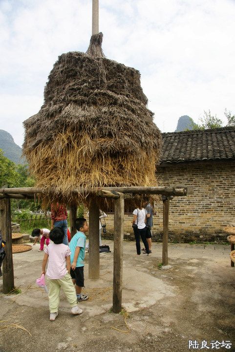 ţ��������ʱ��������ţ���氡������Ƕ���ʱţ��ȫ����ʳ��