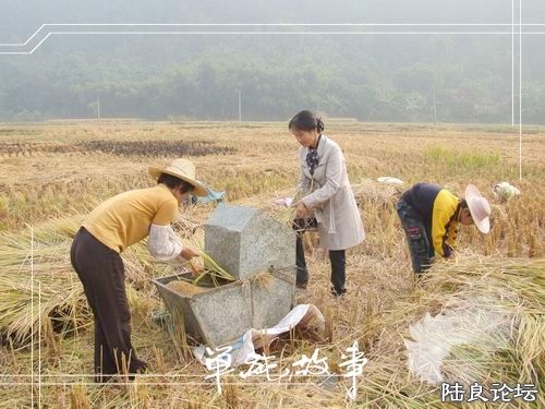 ��̤��Ȼ������ں����ˡ�����ר��һ���˸��ȵ����Ƶ�����