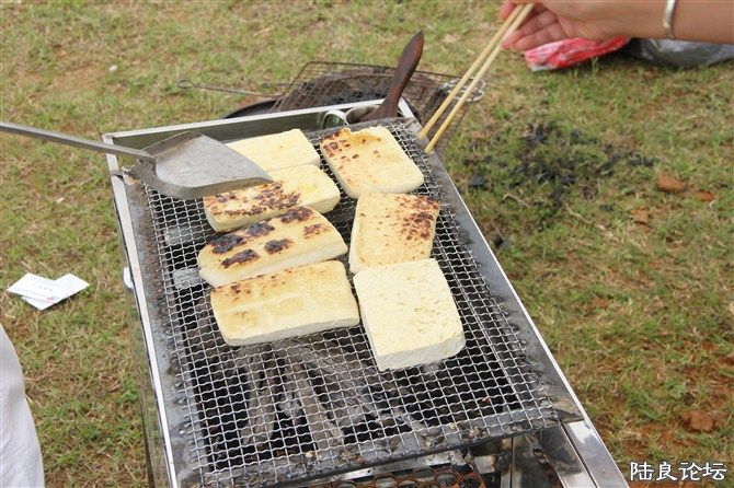 ʯ������