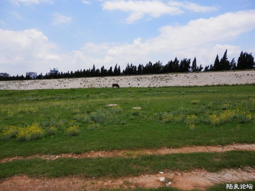 ˮ�⸱�ӿ��Է�ţ