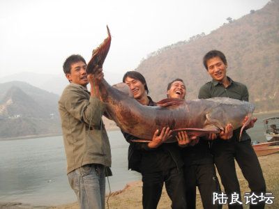 �ô�һ������