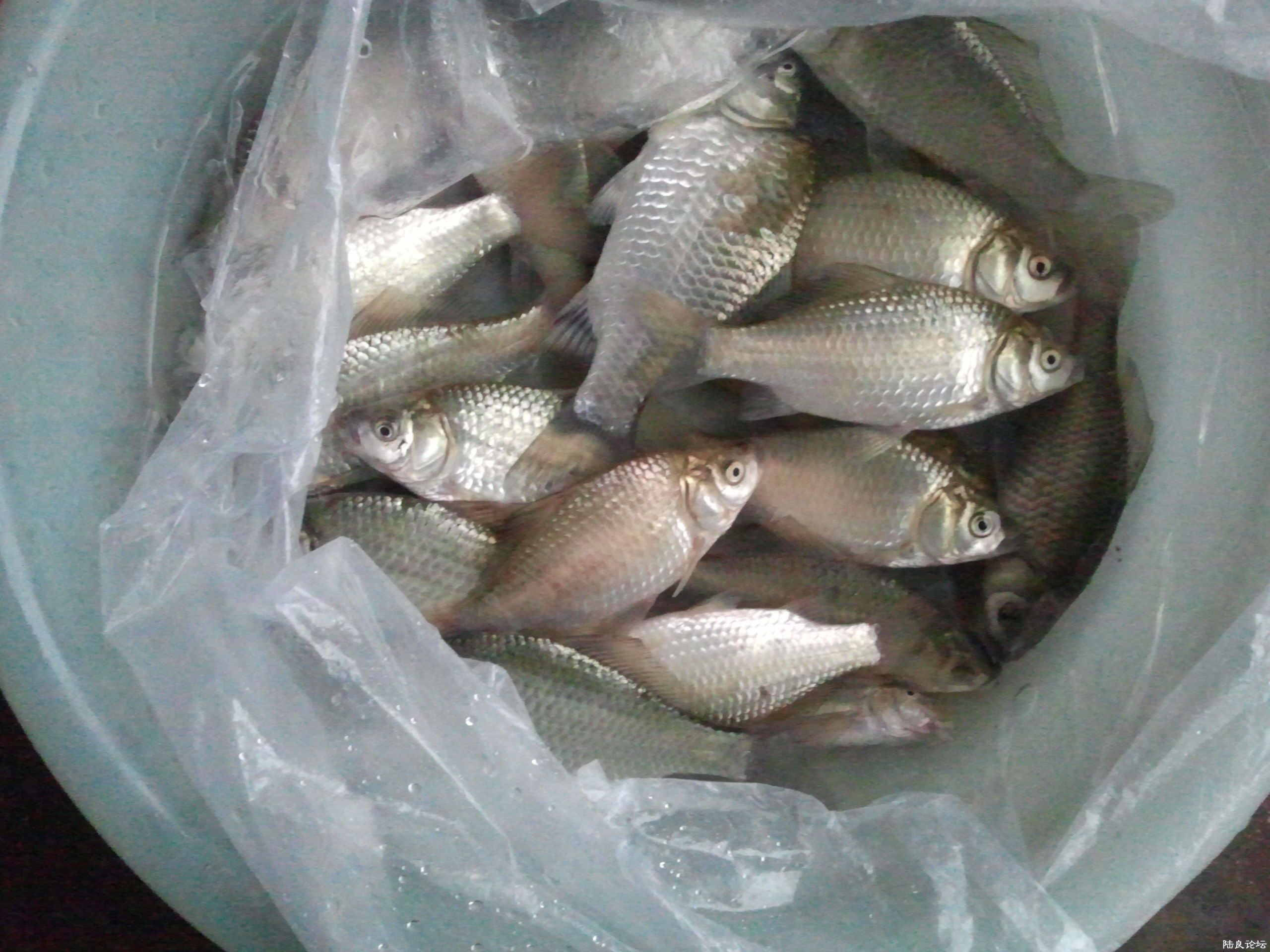 2012-07-22 17.12.28.jpg