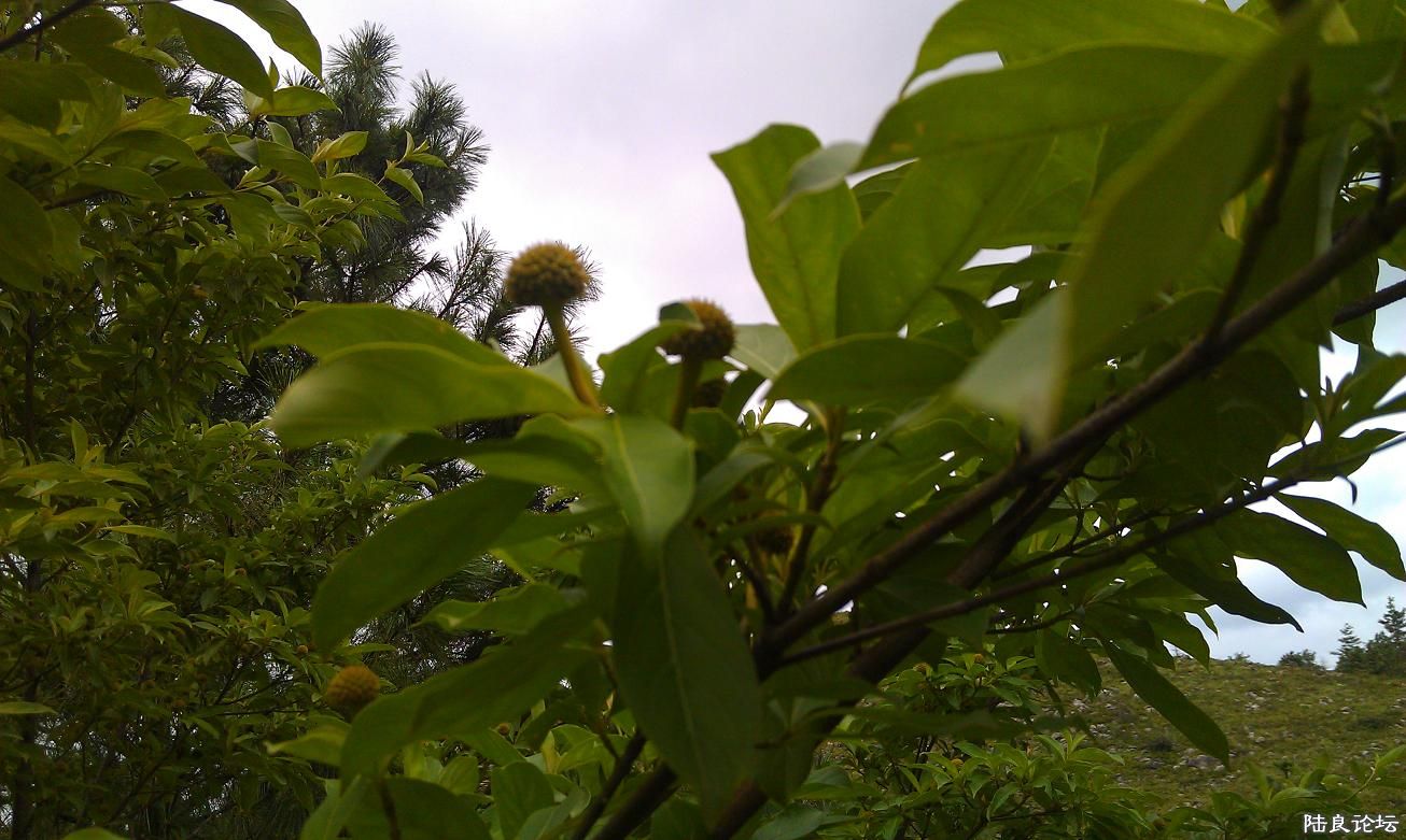 �������й�����