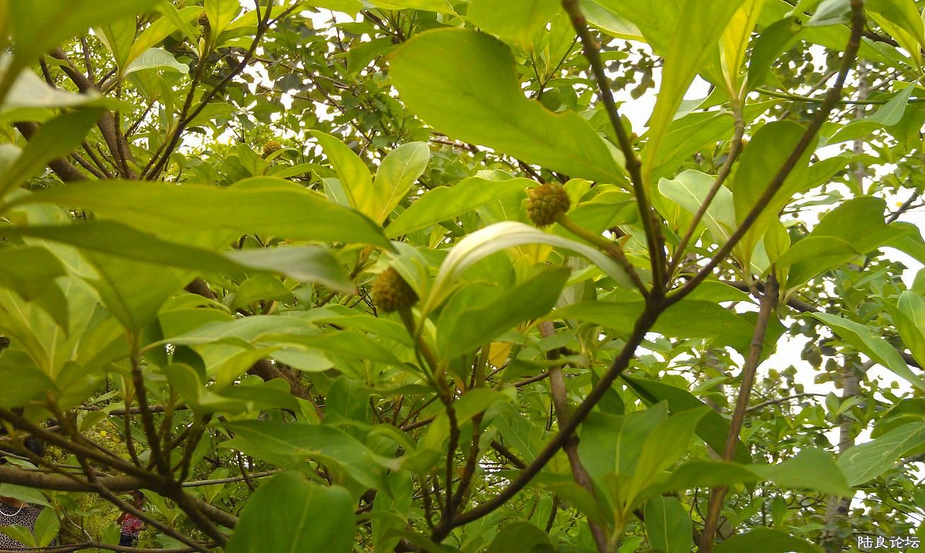 �������й�����