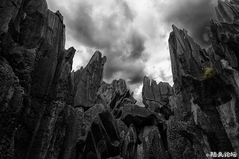 AAA_0615 ����.jpg