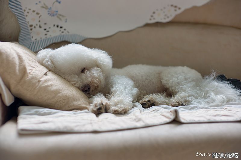 L1001037 ����.jpg