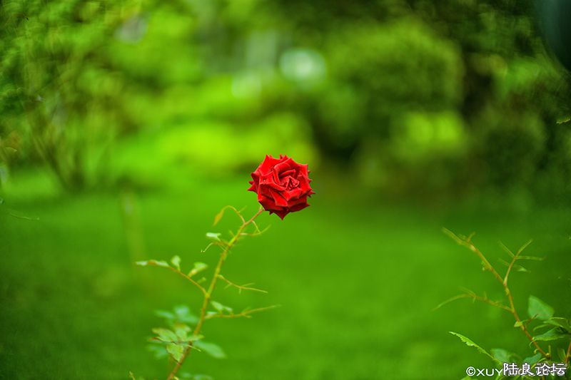 L1001121 ����.jpg