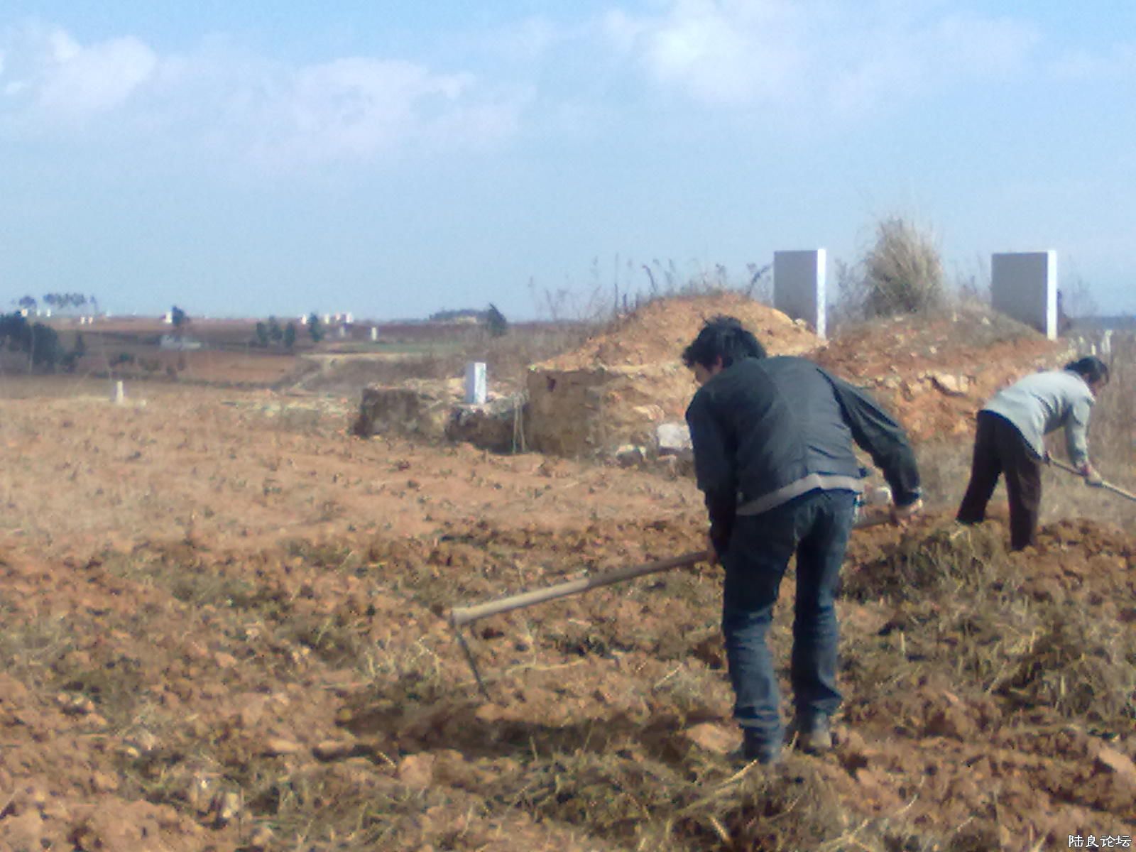 �ֻ���Ƭ 221.jpg