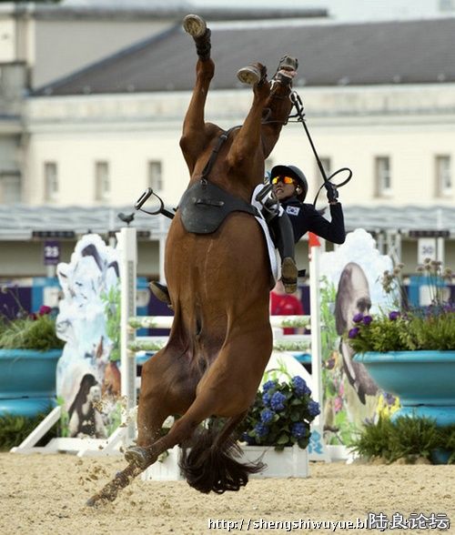  8��11�գ��׶ذ��˻��ִ�������������������ѡ����ʧǰ��