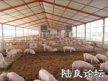 �������＼���о������ṩ