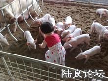 �������＼���о������ṩ