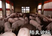 �������＼���о������ṩ