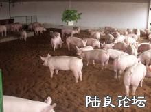 ������ֳģʽ