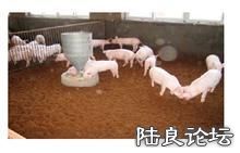 �������＼���о������ṩ