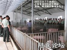 ������ֳģʽ