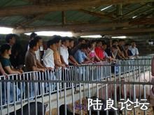 ������ֳģʽ