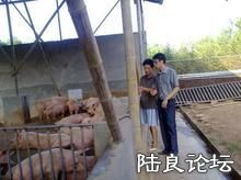 ������ֳģʽ