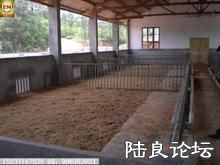 ������ֳģʽ