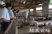 ������ֳģʽ