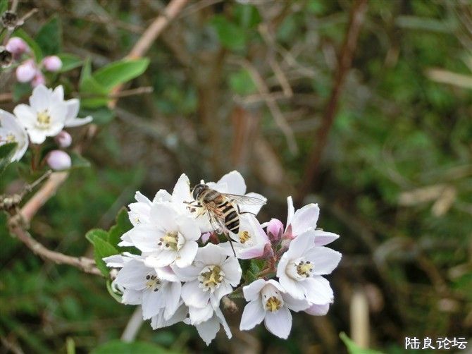 8���͵Ĺ�����  CIMG0234.jpg