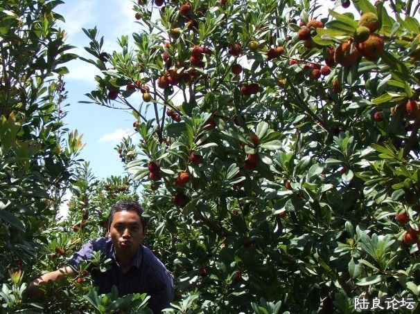 �����Ե��Ǹ�����