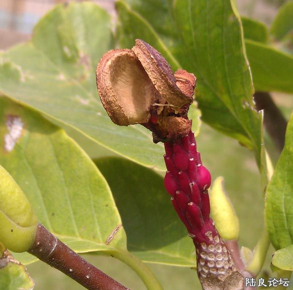 IMAG0116 ����.jpg