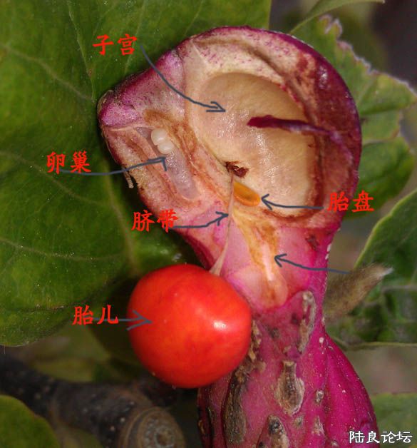 IMAG0118 ����.jpg