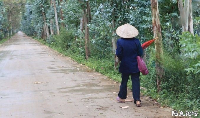 ��ˮ�� (9).jpg