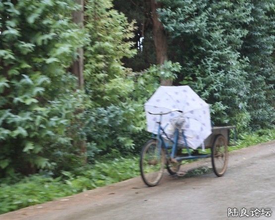 ��ˮ�� (10).jpg