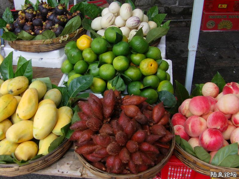 ���� IMAG0060.JPG