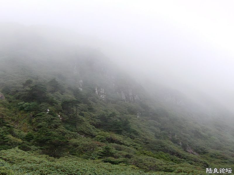 ���� IMAG0316.JPG