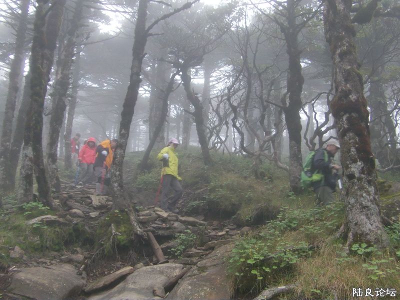 ���� IMAG0317.JPG