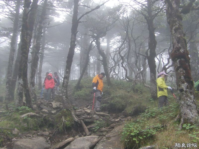 ���� IMAG0318.JPG