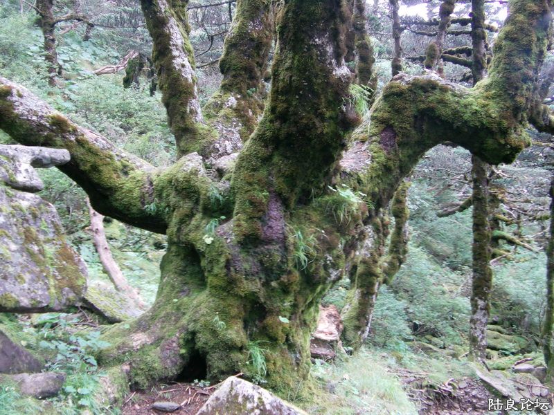 ���� IMAG0319.JPG