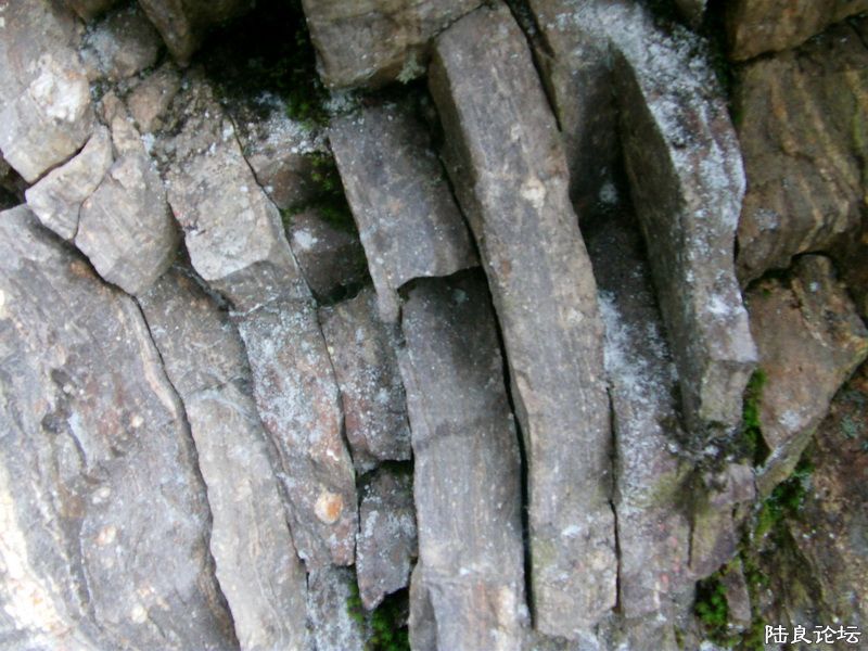 ���� IMAG0323.JPG