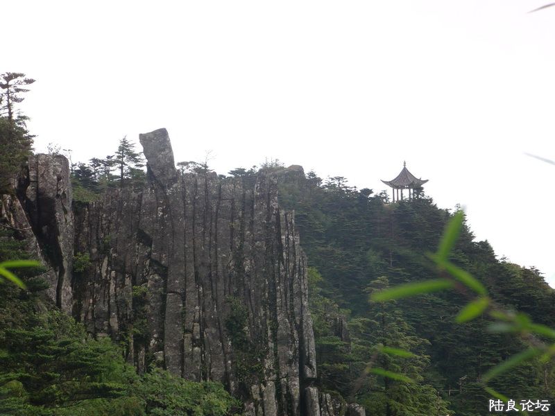 ���� IMAG0328.JPG