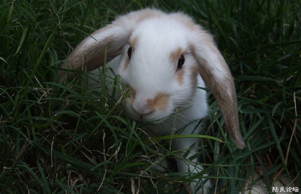 ������ (2).jpg