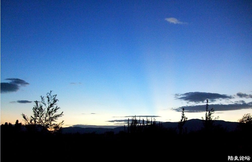 ���� (2).jpg