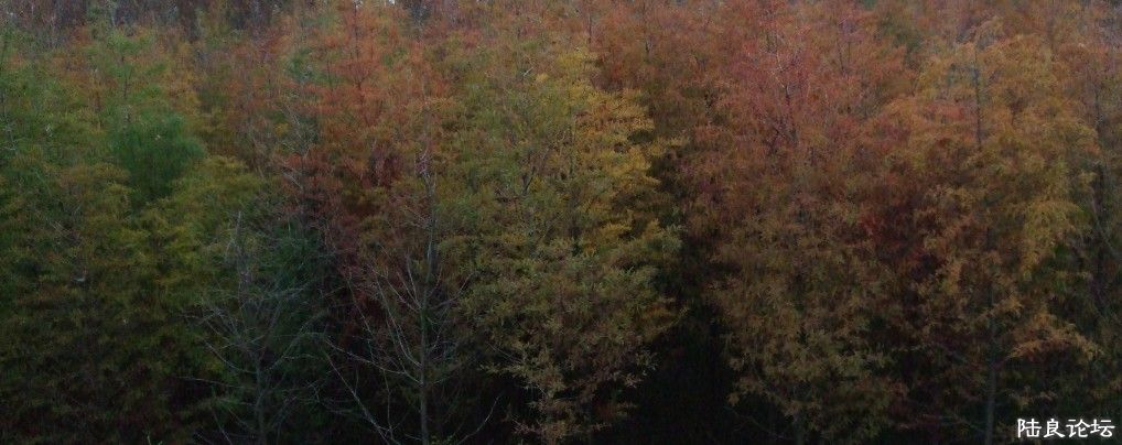 ���� (3).jpg