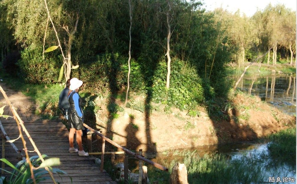 ���� (6).jpg