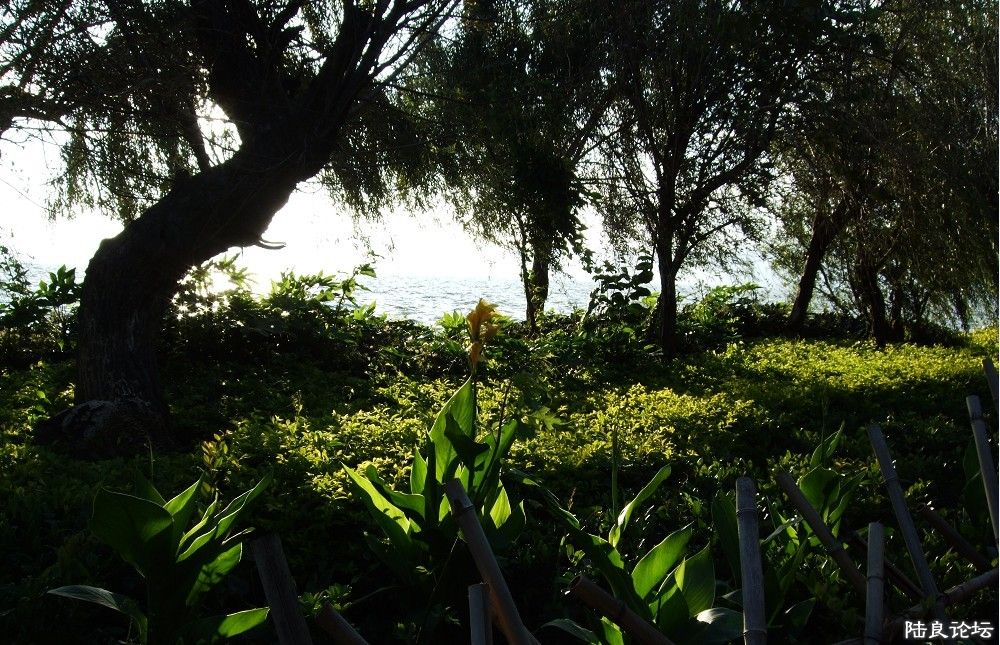 ���� (7).jpg