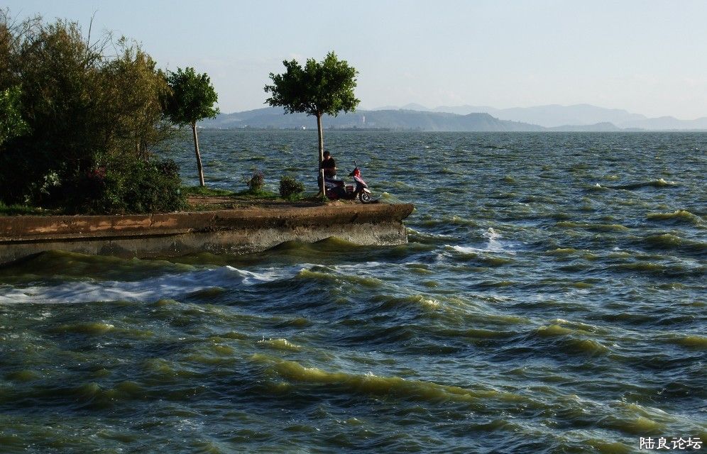 ���� (8).jpg