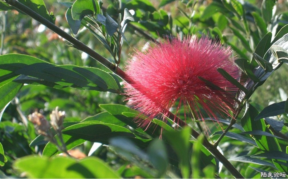 ���� (9).jpg