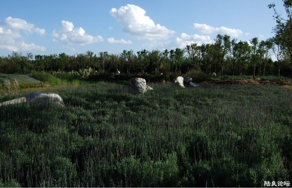 ���� (12).jpg