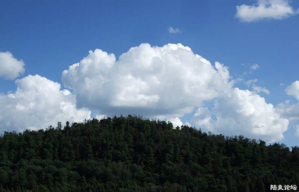 ���� (14).jpg