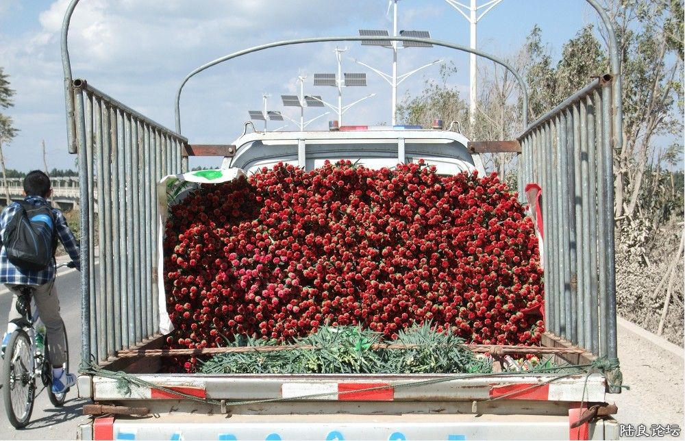 ���� (19).jpg