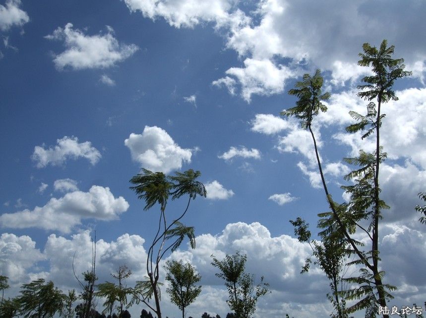 ���� (28).jpg