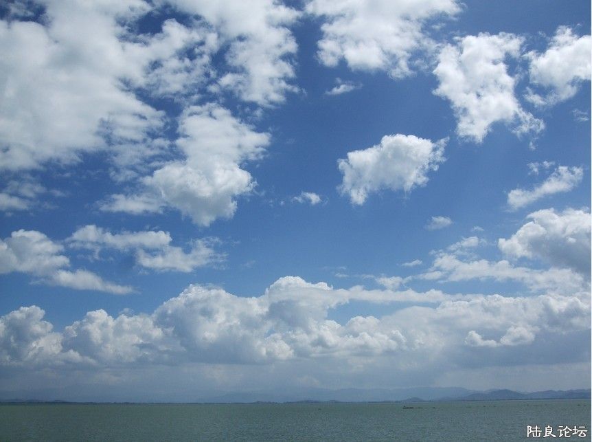 ���� (35).jpg