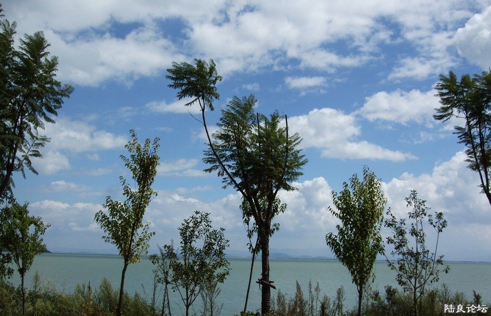 ���� (36).jpg